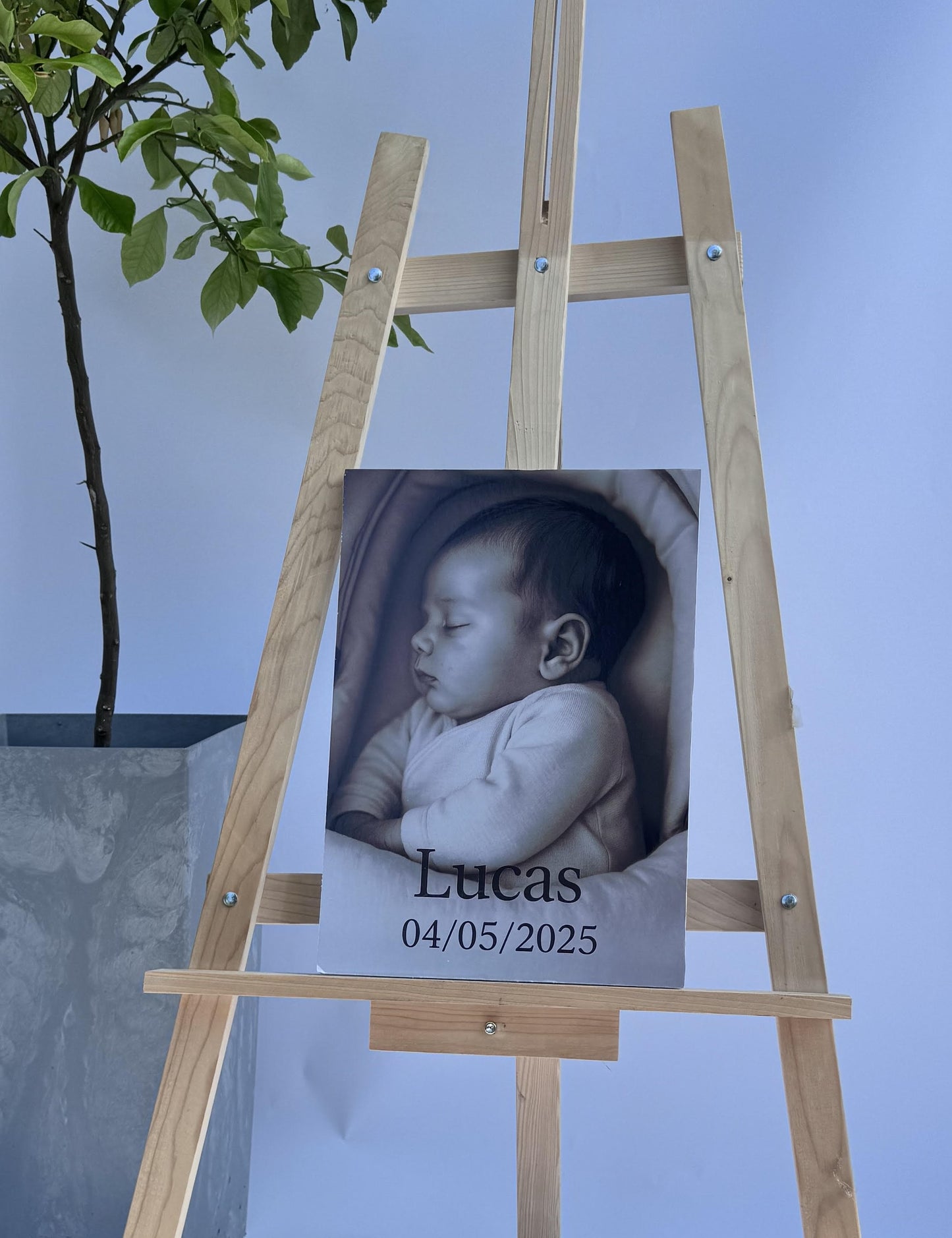 Carton Mousse Imprimé